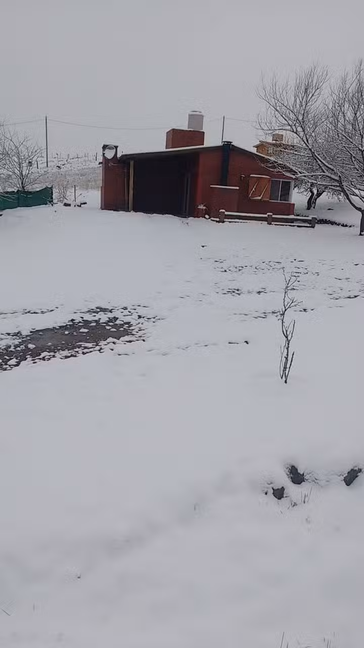 La Casa del Sauce Cabañas