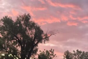 La casa en el rio + Viaje en lancha