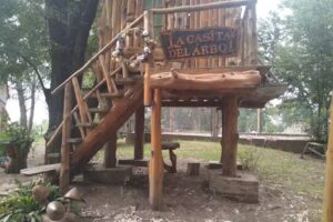 La Casita Del Arbol