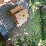 La Casita del Bosque