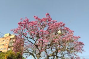 La Casona de la Agueda