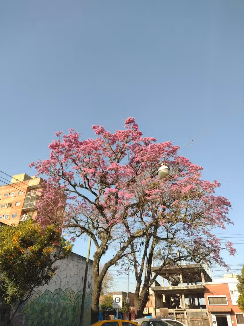 La Casona de la Agueda