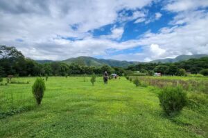 “La Catalina” Complejo Turistico Rural – Cabañas