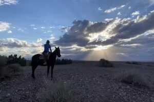 La Comarca del Jarillal – Los mejores precios en nuestro sitio web!