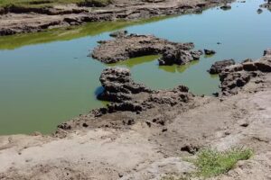 La Corazonada Cabañas Del Carril