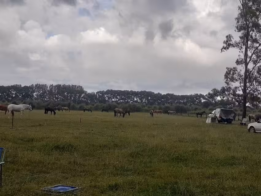 ” La Emilia”