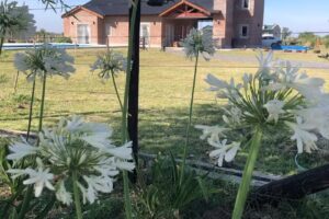 La Esperanza Casa de Campo