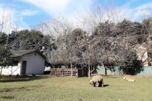 La Esperanza del Oeste