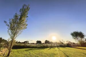La Ferrosa – Quinta container. Hospedaje, alojamiento