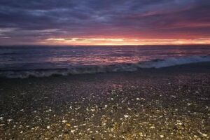 LA FLORIDA DE SACO VIEJO PLAYA LAS CONCHILLAS