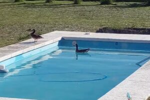 La Franca – Casa de Campo Gardey