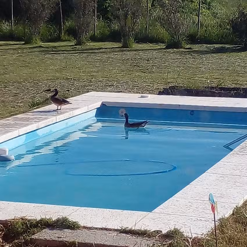 La Franca – Casa de Campo Gardey