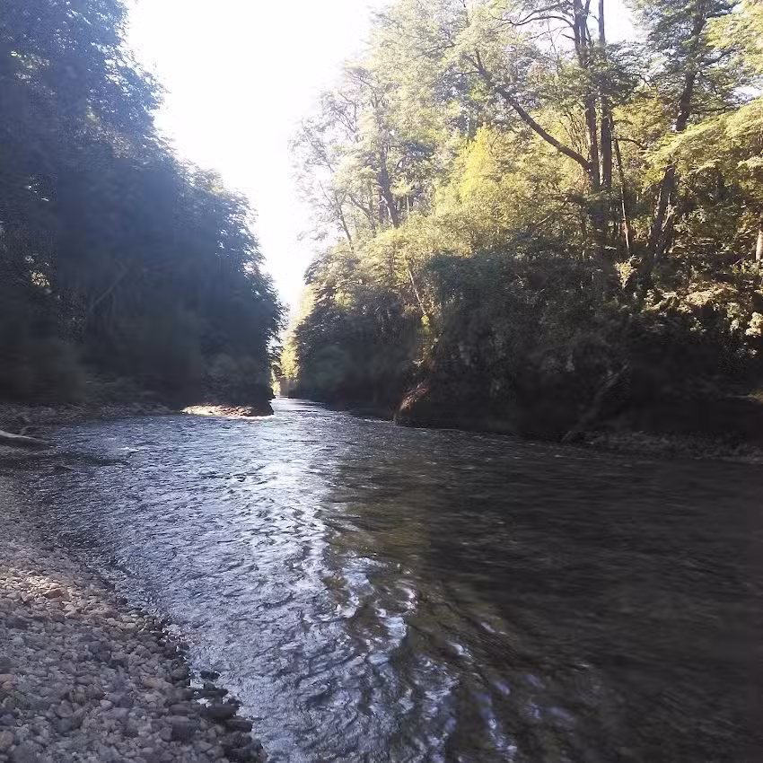 La Frontera Valle El Manso