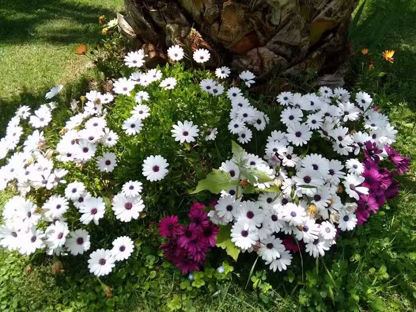 La Gertrudis Casa de Campo