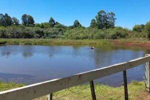 La Granja de Casiano