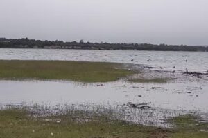 La gringa villa del parque cabañas