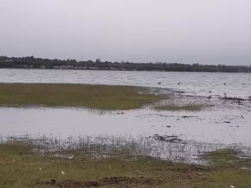 La gringa villa del parque cabañas