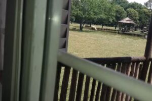 La Justina – Nuestro Campo