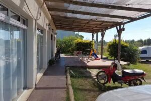 La Liebre del Bosque