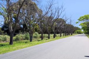 |La Lucila de mar| departamento #1