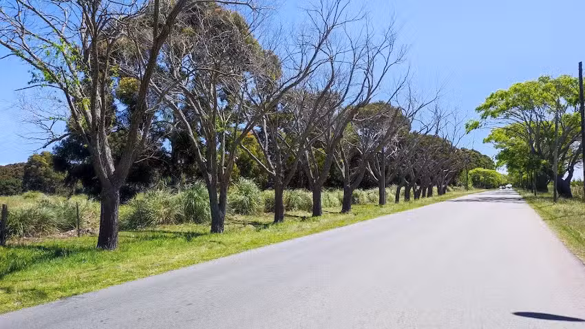 |La Lucila de mar| departamento #1