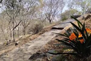 La Lucila (ex El Fortín)