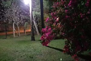 La Marcelina Paso De La Patria