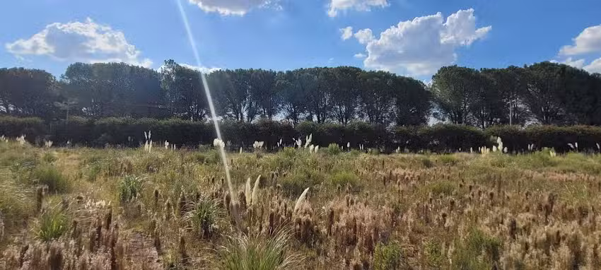 La Marilu – Goldney