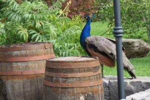 LA NATURE – Hosteria Boutique