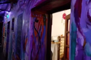 La Nueva Puerta Verde