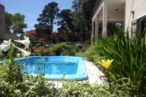 La orquídea de la sierra