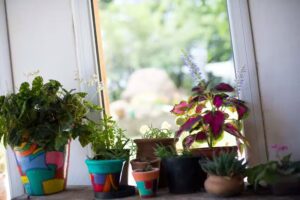 La Pepa – Posada Rural