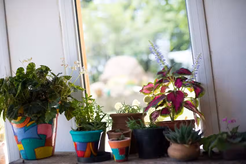 La Pepa – Posada Rural