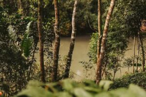 La Perla de la Selva Ecolodge y Aventura