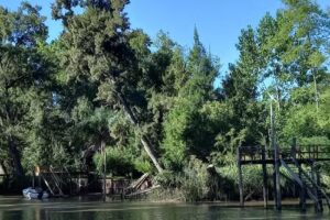 “La Playita del Delta”