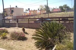 La Posada del Viento.