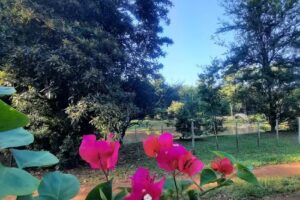 La Querencia – Pesque y Pague