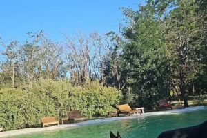 La Siesta Casas de Campo, Mina Clavero