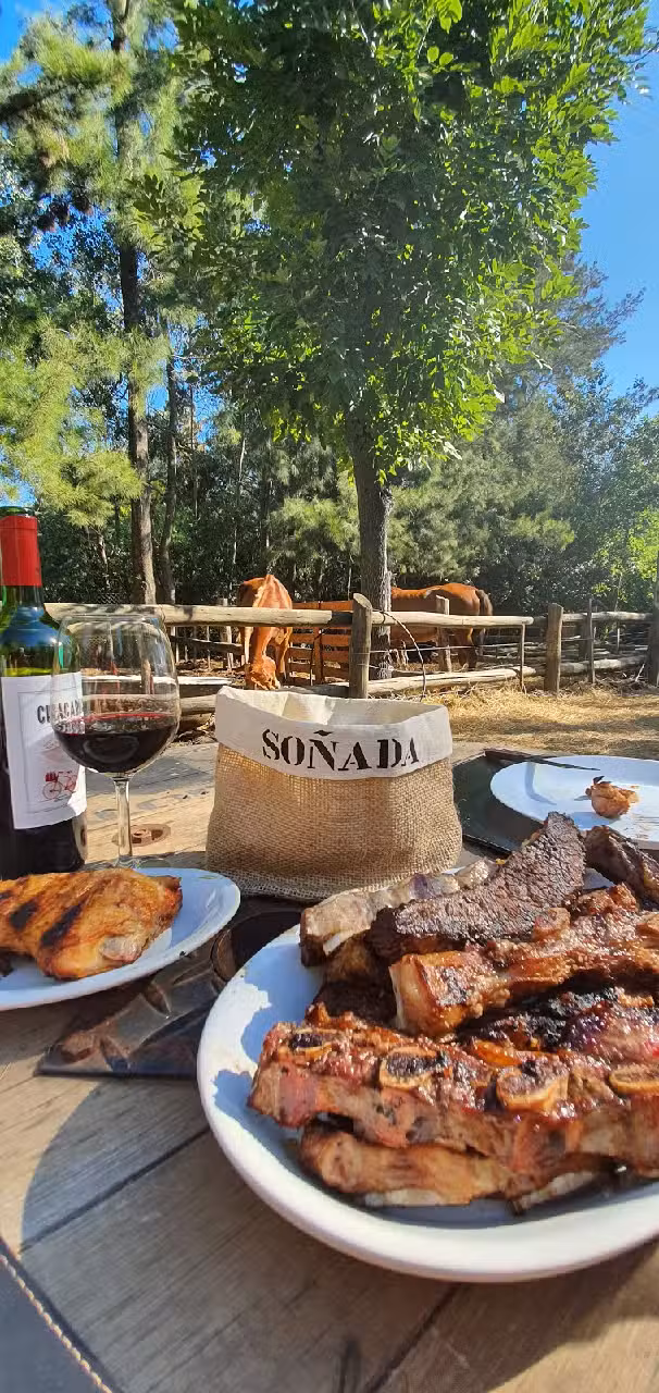 La Soñada – Casas de Campo