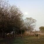 La Soñadita