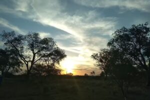 La Tai Milagrosa Casa Campo