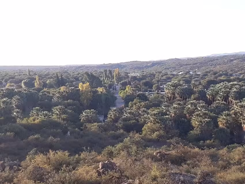 La Tosquita