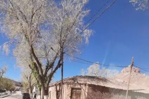 “LA VICUÑITA” Hostería y Restaurante