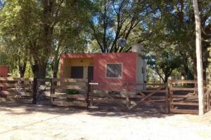 Laguna Chasicó “La Ambarita”