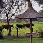 Laka’wa posada campestre