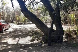 Las 2 Reynas Cabañas