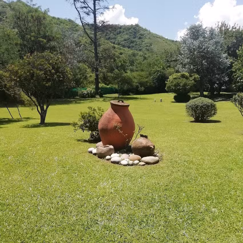 Las Abajeñas