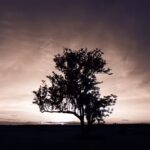 Las Acacias Casa de campo