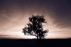 Las Acacias Casa de campo