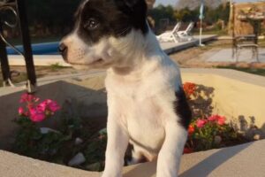 Las Brisas, Mburucuyá